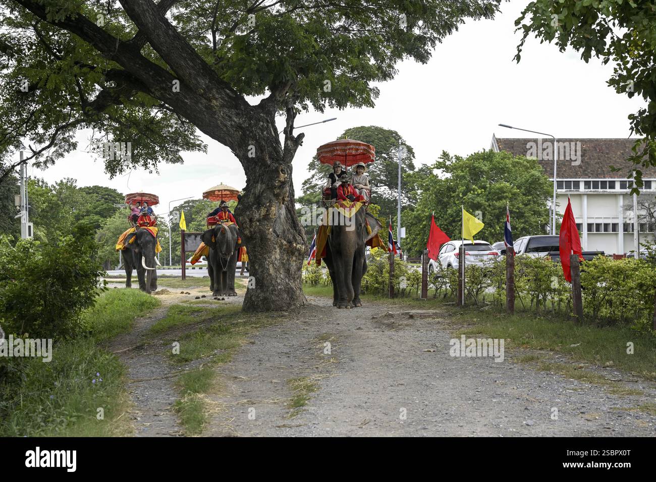 Touristen auf einem reitenden Elefanten in der Nähe des Großen Palastes, des alten Königspalastes, Ayutthaya, der Provinz Ayutthaya, Thailand, Asien Stockfoto