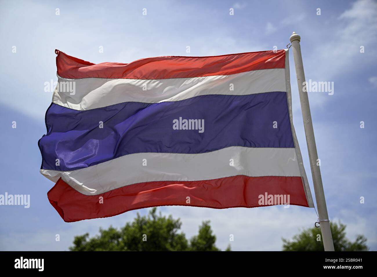 Thailändische Flagge vor dem Großen Palast, Königspalast, Ayutthaya, Provinz Ayutthaya, Thailand, Asien Stockfoto
