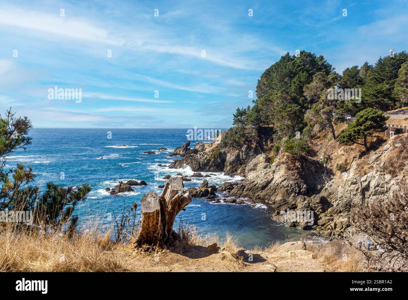Die kalifornische Küste in der Nähe von Mendocino Stockfoto