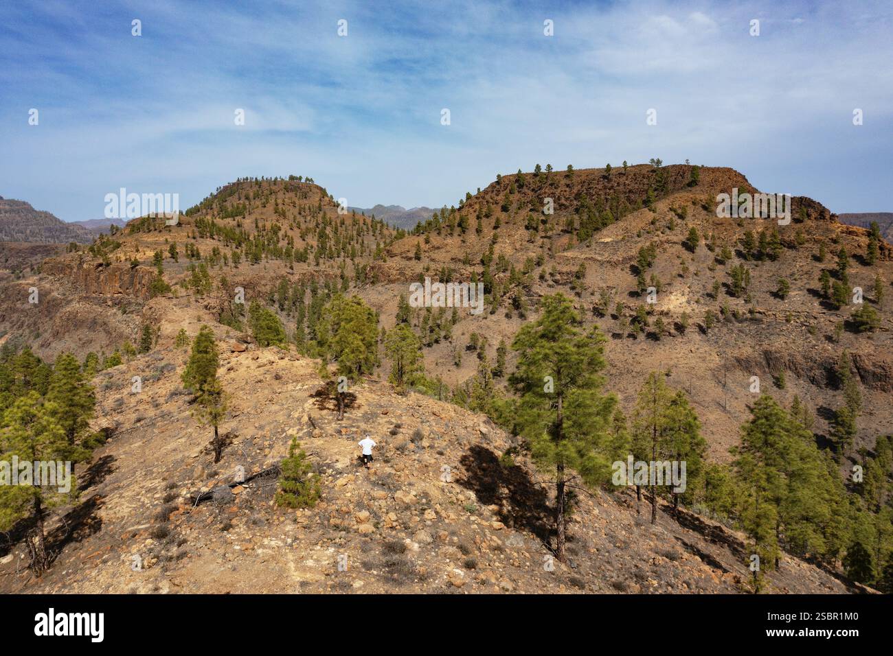 Wanderer in den Palmitos-Bergen, Gran Canaria, Kanarischen Inseln, Spanien, Europa Stockfoto