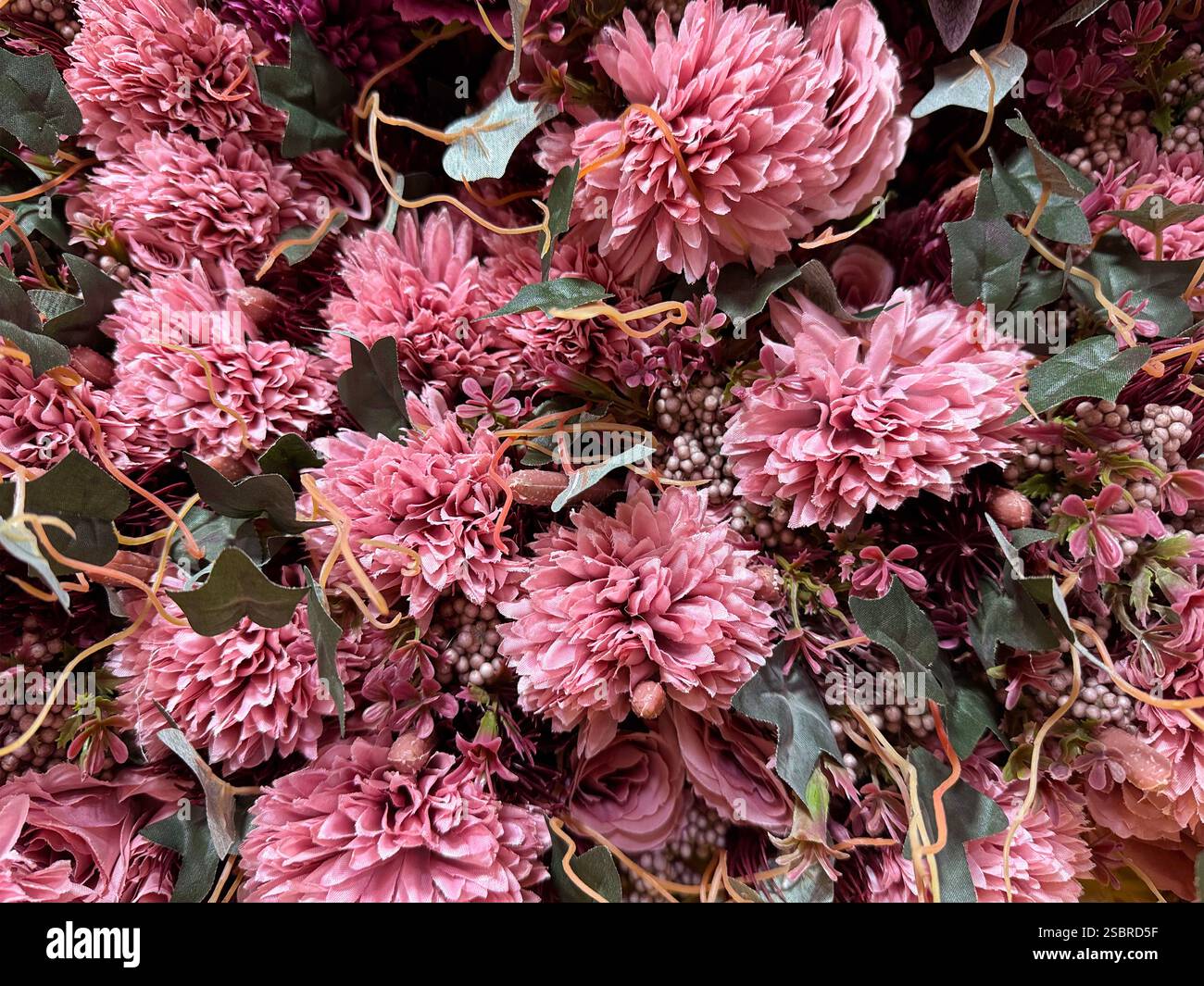 Nahaufnahme von dekorativen rosa Chrysanthemen Blüten oder manchmal auch Chrysanthen genannt. Nahtlose Hintergrundstruktur mit Blumendekoration. Stockfoto