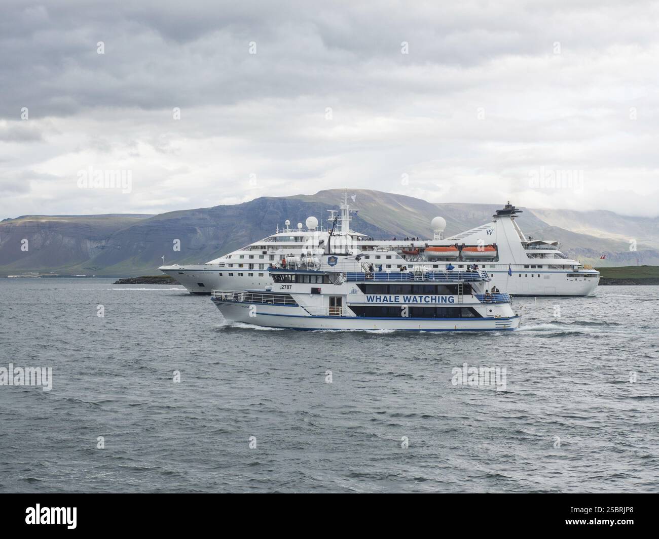 Walbeobachtungsboot, hinter dem Kreuzfahrtschiff, in der Nähe von Reykjavik, Island, Europa Stockfoto