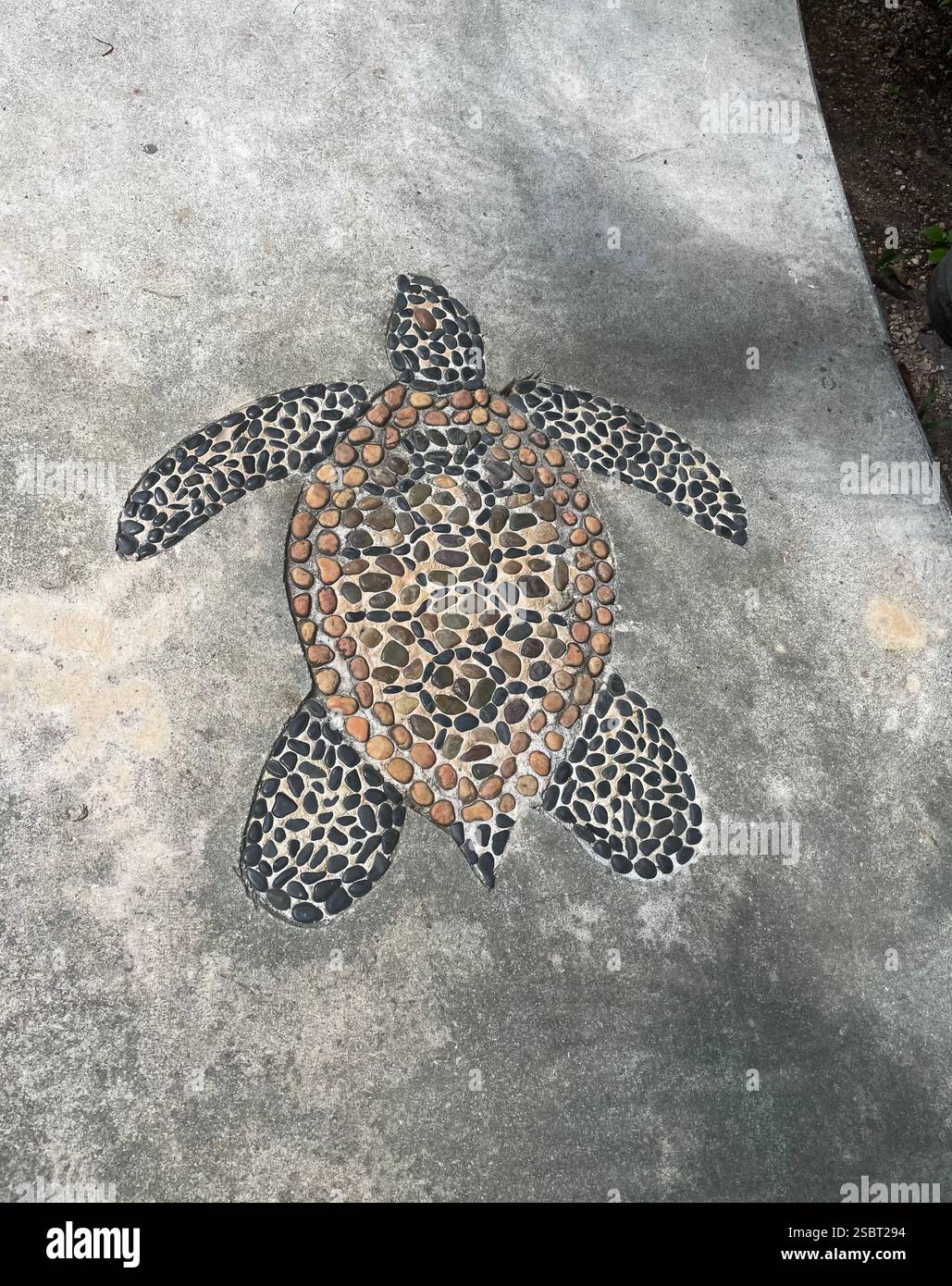 Schildkröten-Kiesel-Kunstmosaik Stockfoto