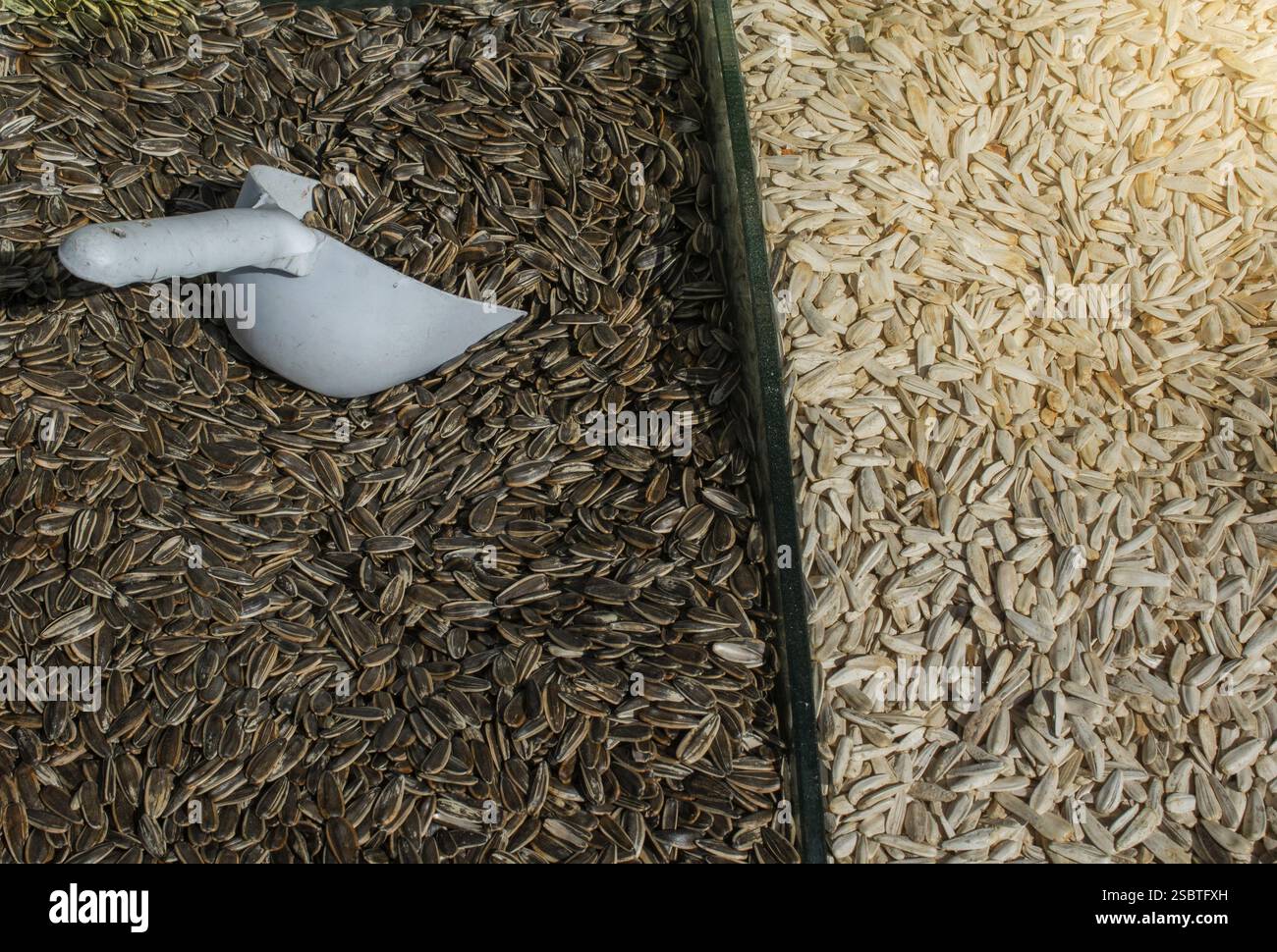 Sonnenblumenkerne aspopular Nützliche kulinarische Produkt Stockfoto