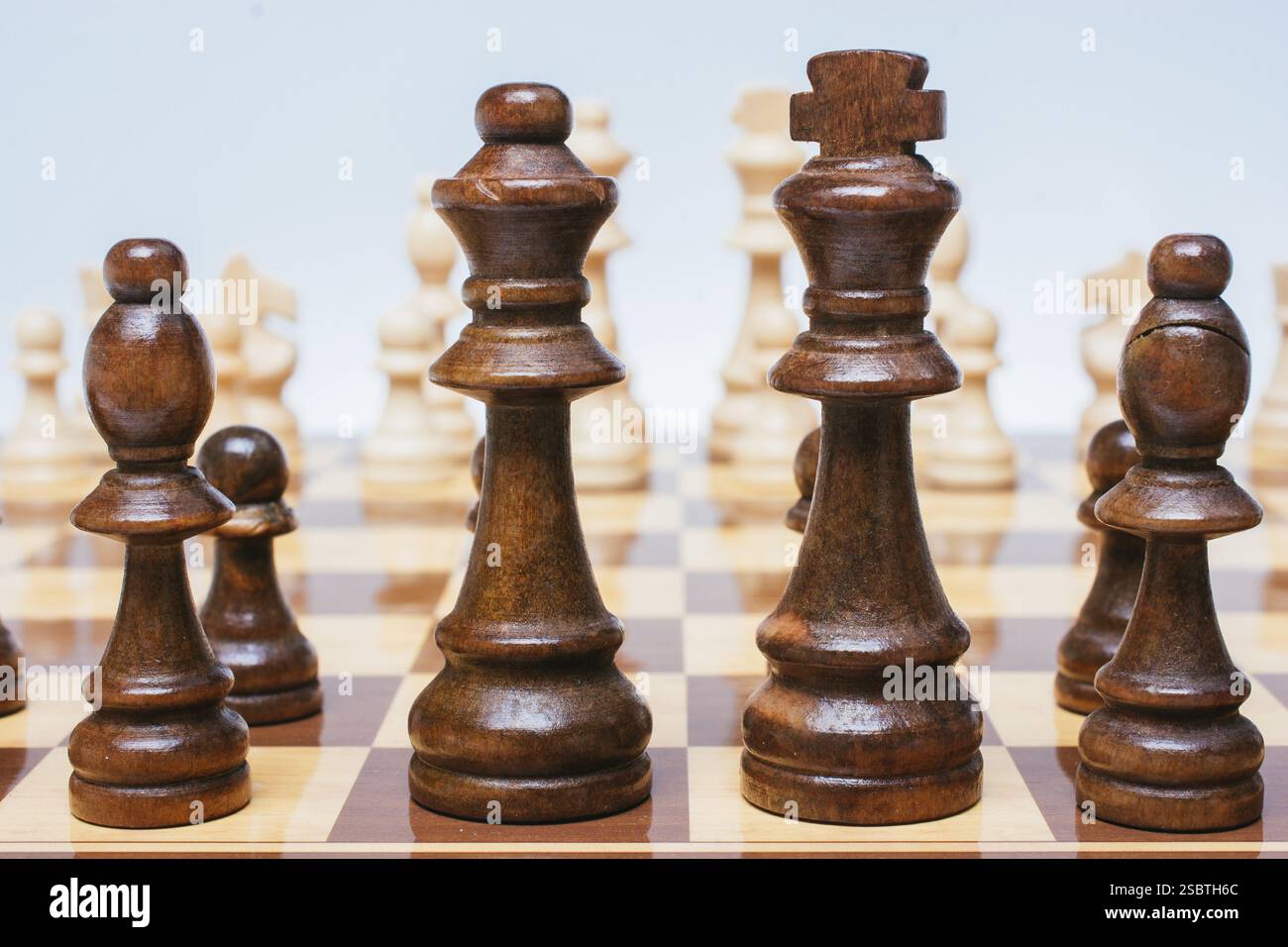 Intellektuelles Spiel - Schach. Schachfiguren aus Holz auf dem Schachbrett Stockfoto