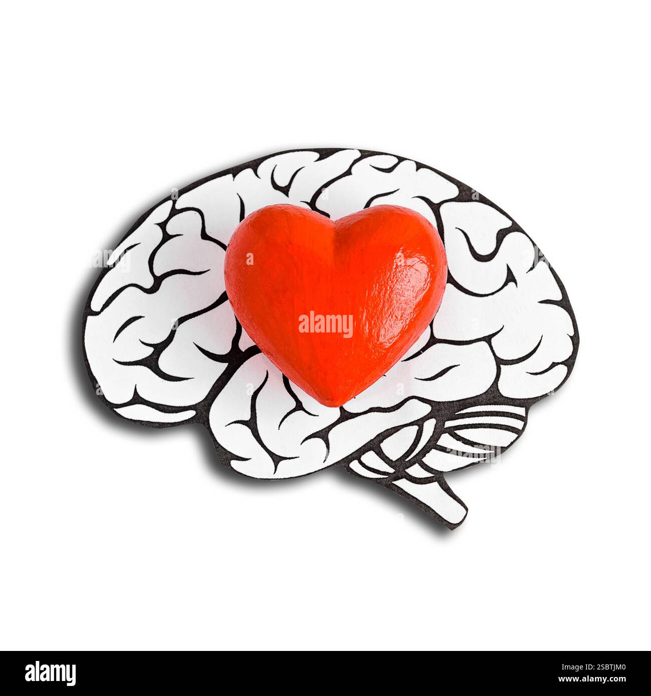 Das rote Herz im menschlichen Gehirn ist ein Symbol für Liebe, Gesundheit und Schlaganfallprävention. Stockfoto