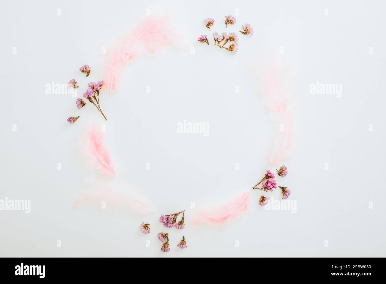 Runder Rahmen aus rosafarbenen Blumen und Federn auf weißem Hintergrund. Flache Lagen Stockfoto