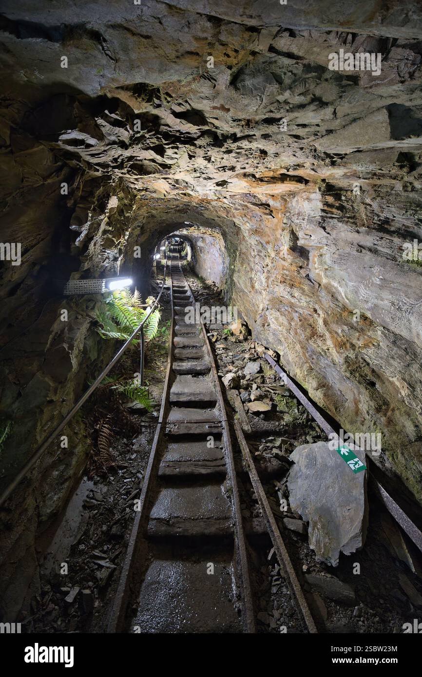 Wales, Gwynedd, Llechwedd - 08. Juli 2024: Die geführte Deep Mine Tour führt durch die Tunnel in eine Tiefe von 500 Metern. Stockfoto