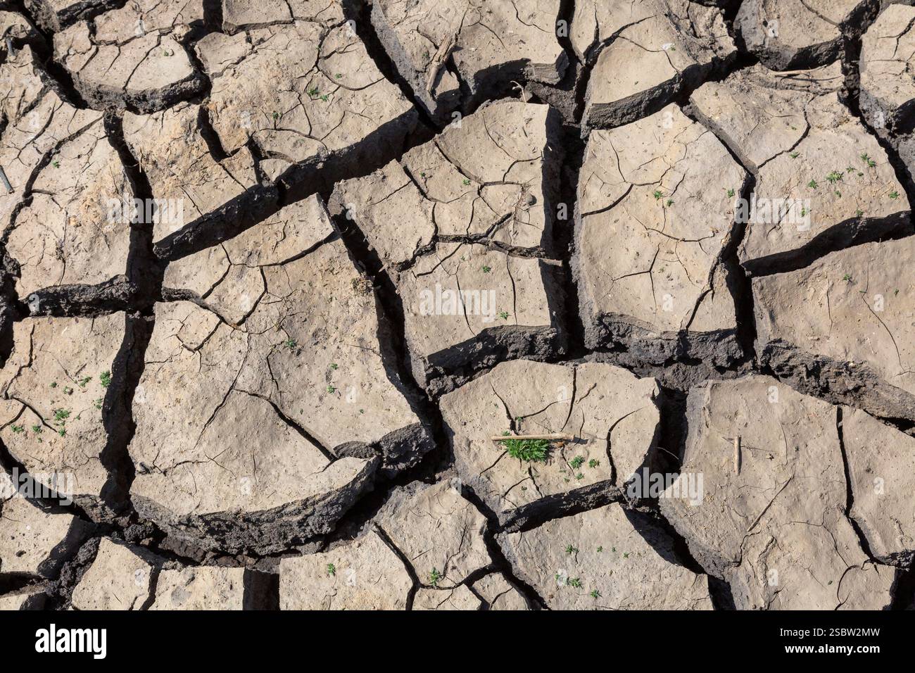 Getrockneter und zerrissener Schlamm an den Ufern eines Damms während der Trockenzeit Stockfoto