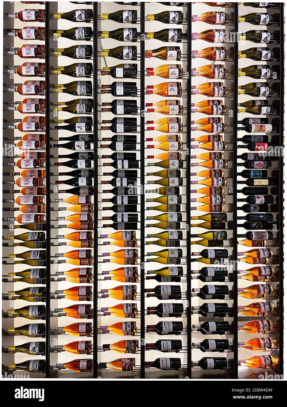 Weinauswahl in Spanien Stockfoto