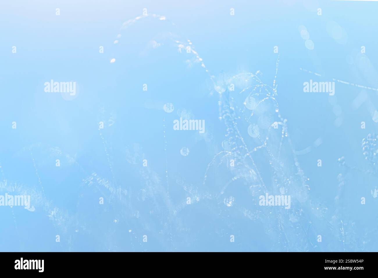 Leichter Dunst oder Morgennebel. Die Sonne scheint durch die Bäume auf einem Moor. Sonnige magische Landschaft im Sonnenaufgang am Morgen. Stockfoto