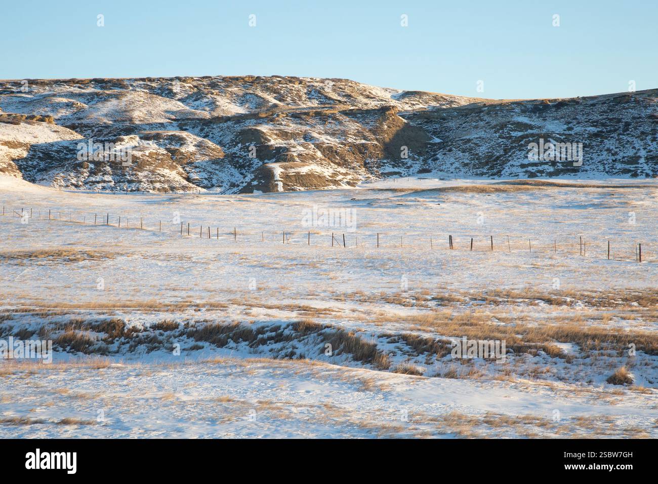 Im Cascade County, Montana, marschiert der Zaun über verschneite Felder. Stockfoto