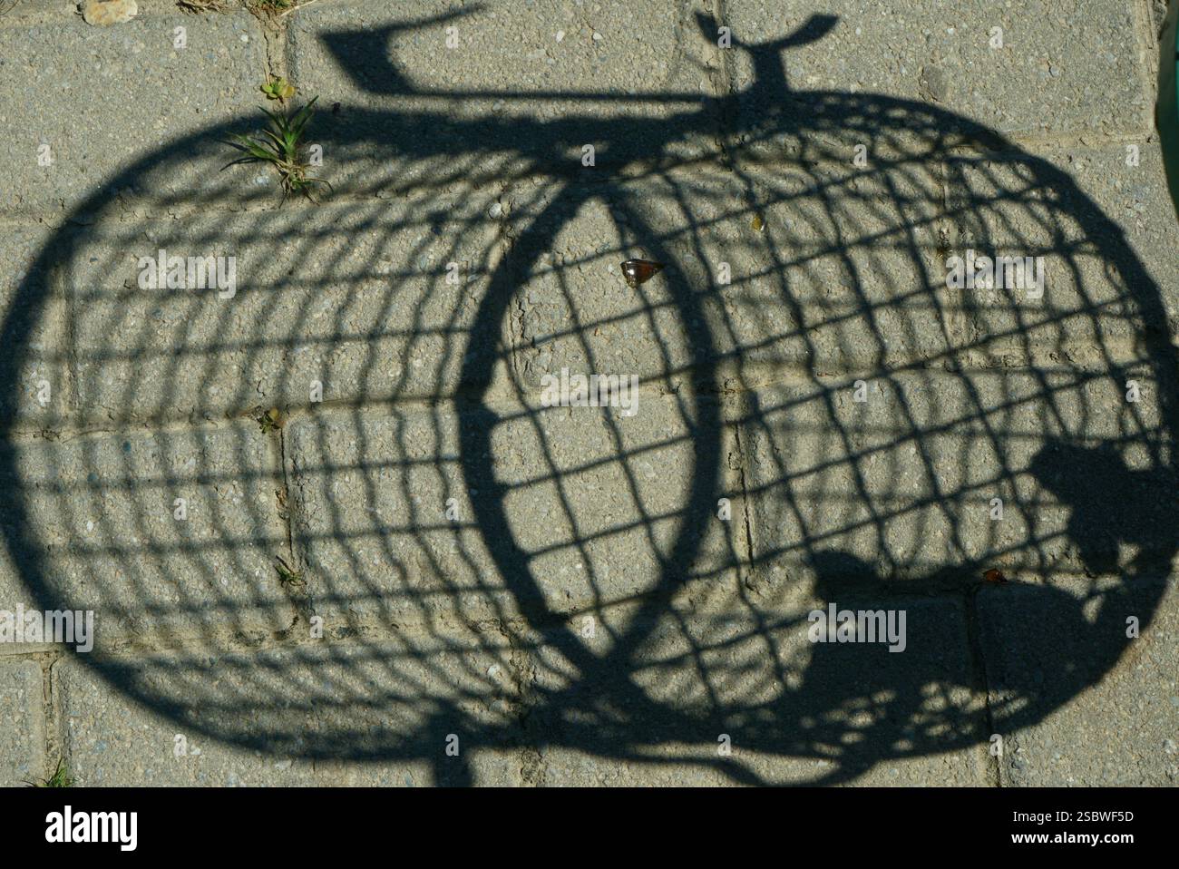 Schatten der Welt: Ein Aufruf für eine saubere Umwelt Stockfoto