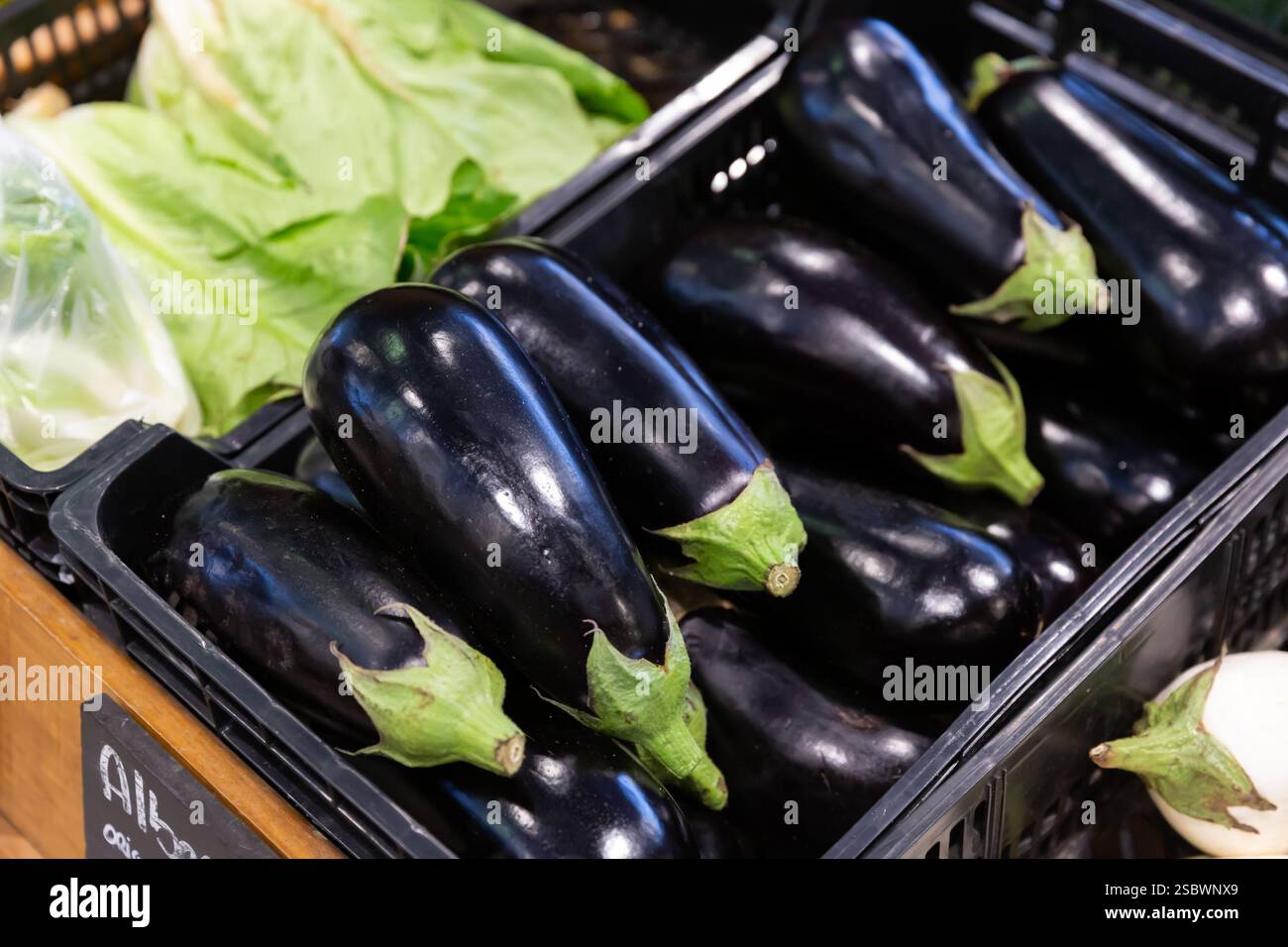 Frische Auberginen in Kunststoffkisten Stockfoto