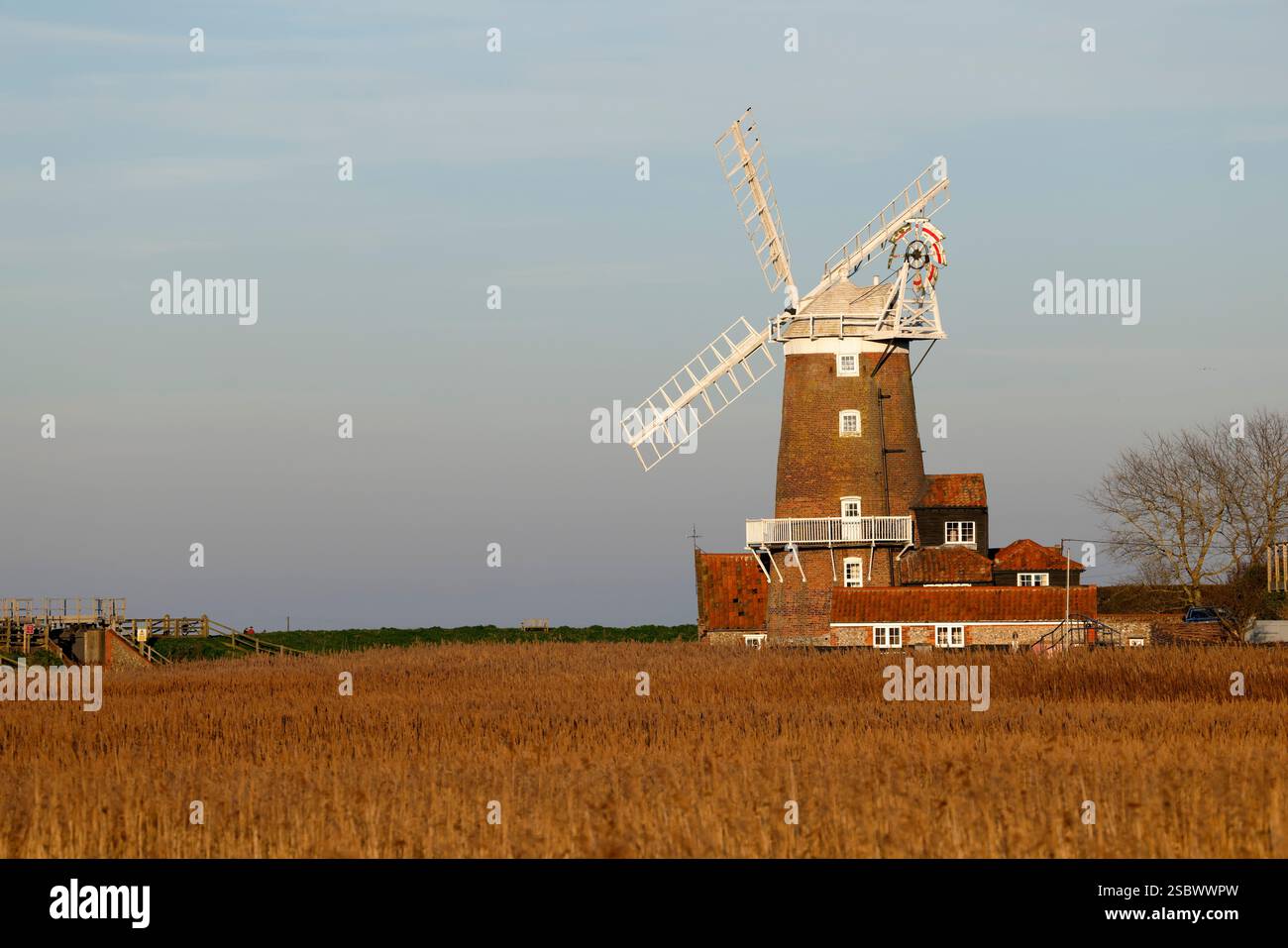 Cley Windmill, eine denkmalgeschützte Turmmmühle in Cley Next the Sea, North Norfolk, England, über ein Salzmarsch-Schilfbett. Stockfoto