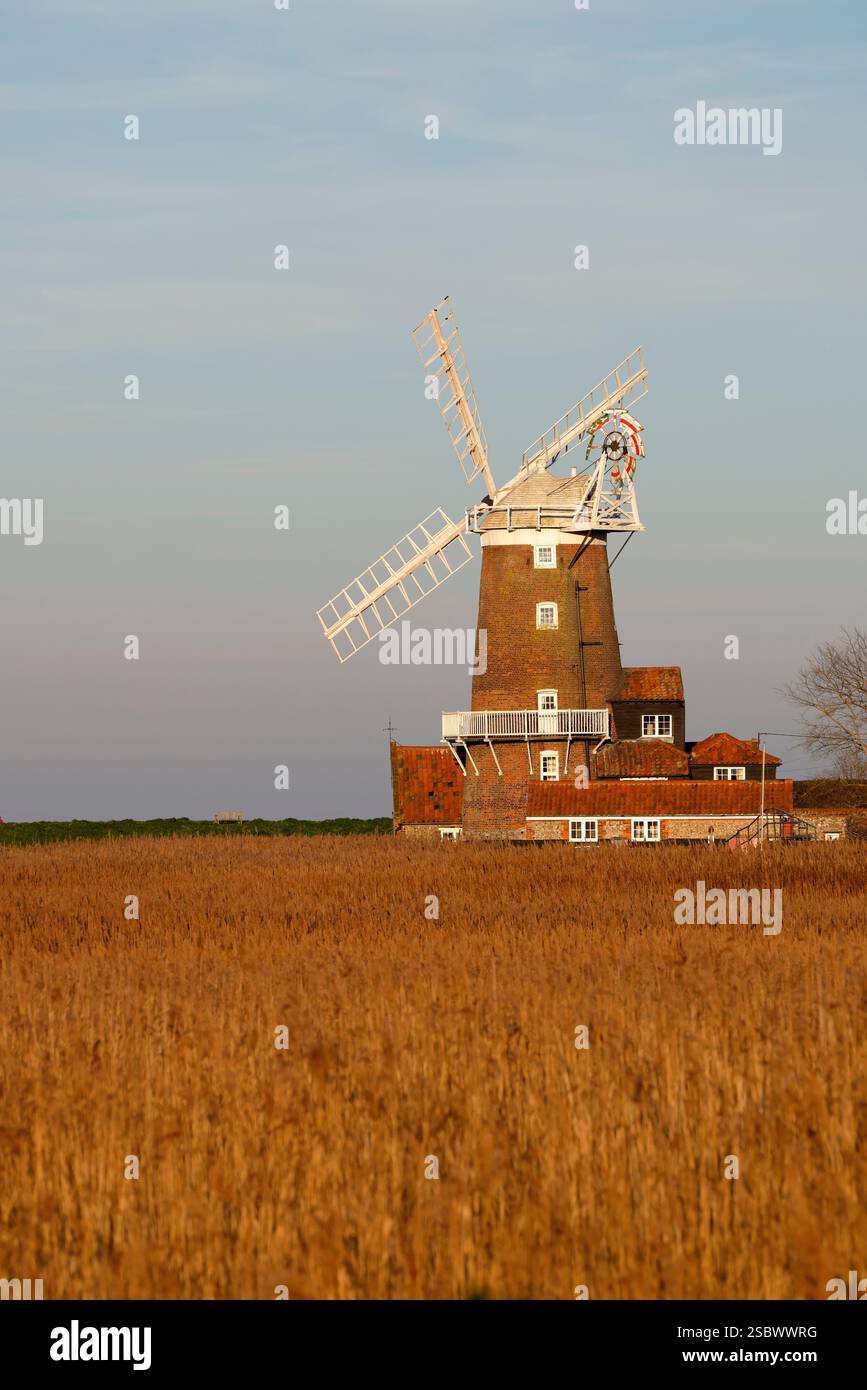 Cley Windmill, eine denkmalgeschützte Turmmmühle in Cley Next the Sea, North Norfolk, England, über ein Salzmarsch-Schilfbett. Stockfoto