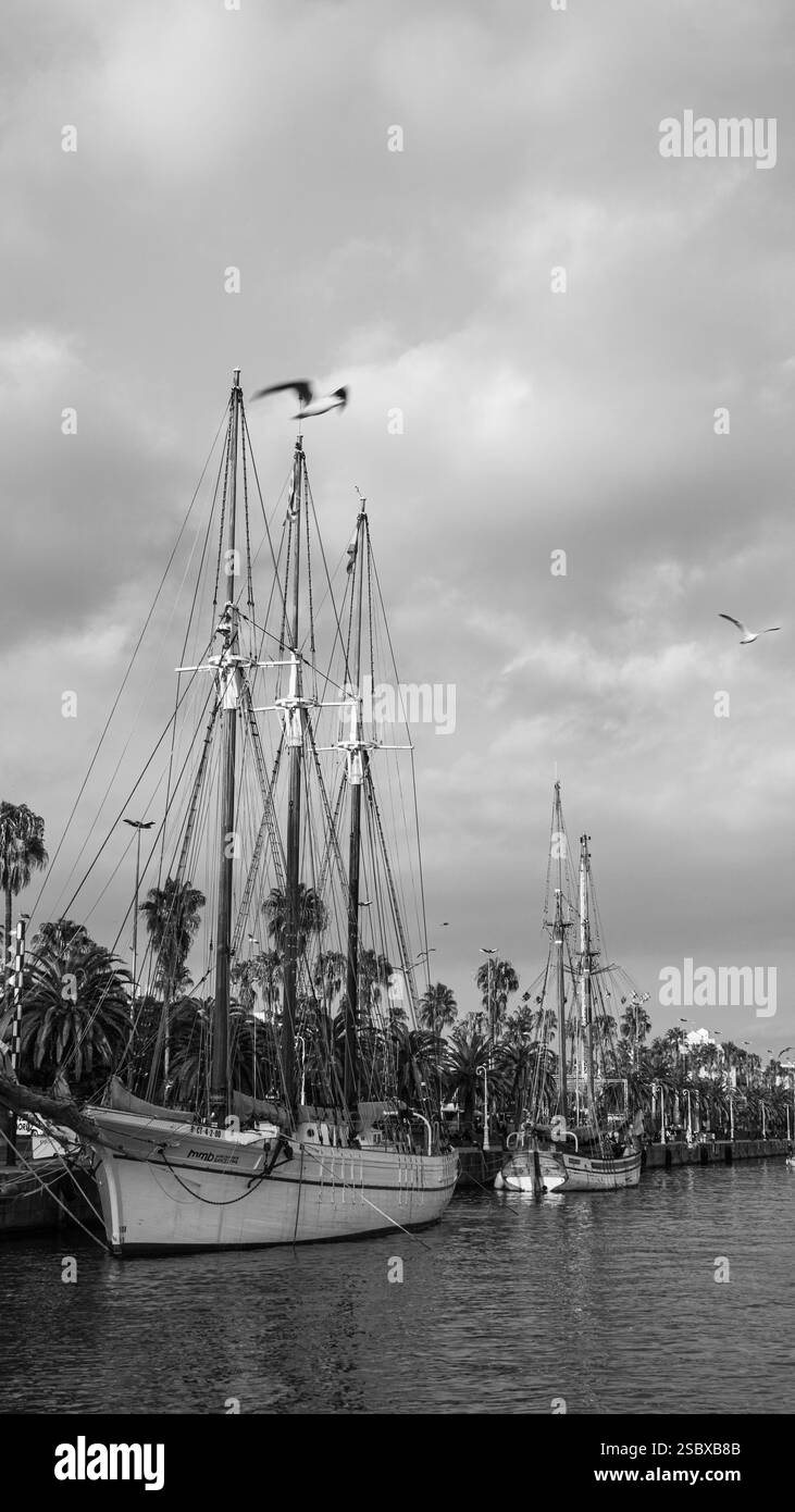Vertikales Schwarzweiß-Foto von Segelbooten, die im sonnigen Hafen von Port Vell, Barcelona, Spanien, verankert sind Stockfoto