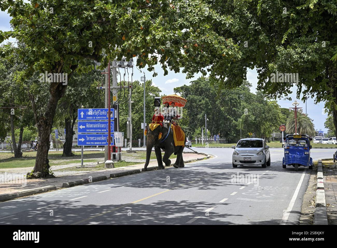 Touristen auf einem reitenden Elefanten in der Nähe des Großen Palastes, des alten Königspalastes, Ayutthaya, der Provinz Ayutthaya, Thailand, Asien Stockfoto