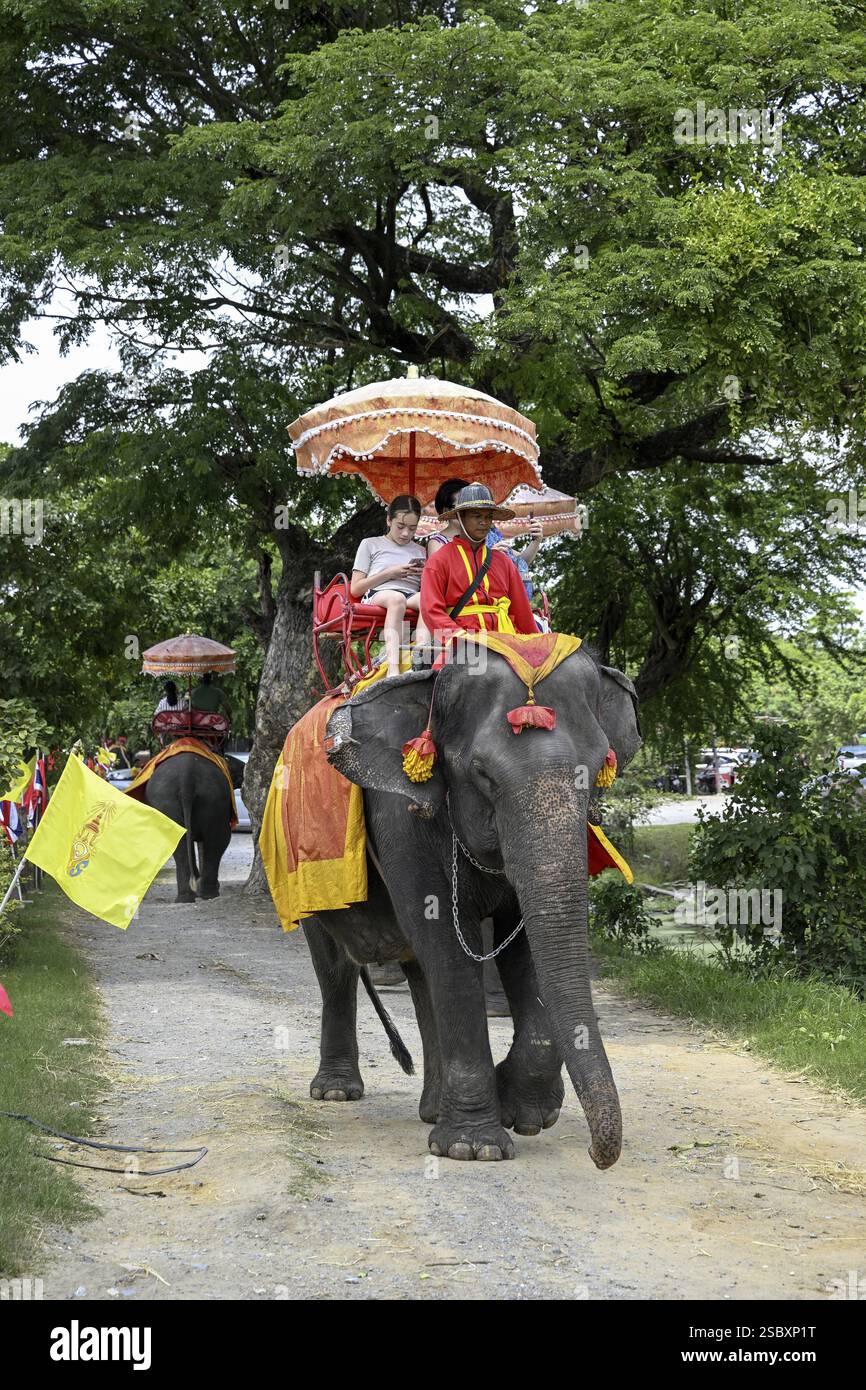Touristen auf einem reitenden Elefanten in der Nähe des Großen Palastes, des alten Königspalastes, Ayutthaya, der Provinz Ayutthaya, Thailand, Asien Stockfoto