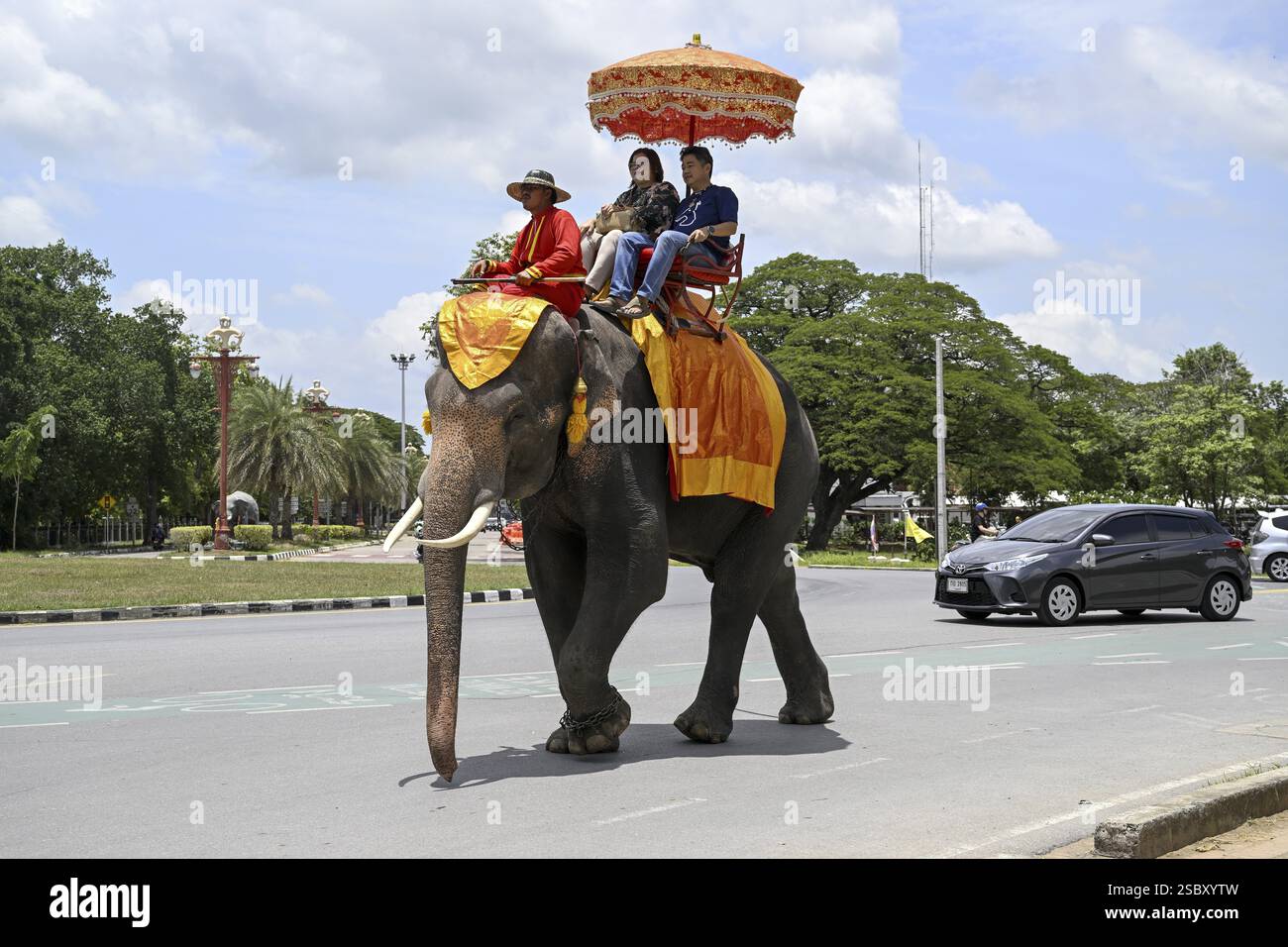 Touristen auf einem reitenden Elefanten in der Nähe des Großen Palastes, des alten Königspalastes, Ayutthaya, der Provinz Ayutthaya, Thailand, Asien Stockfoto