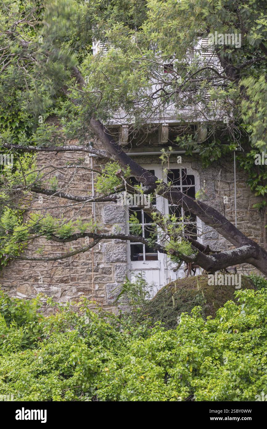 Detail eines versteckten Gebäudes in Pont-Aven. Das Dorf ist bekannt für die Künstler, die dort arbeiteten, wie Emile Bernard, Paul Gauguin und Paul Serusier. Stockfoto