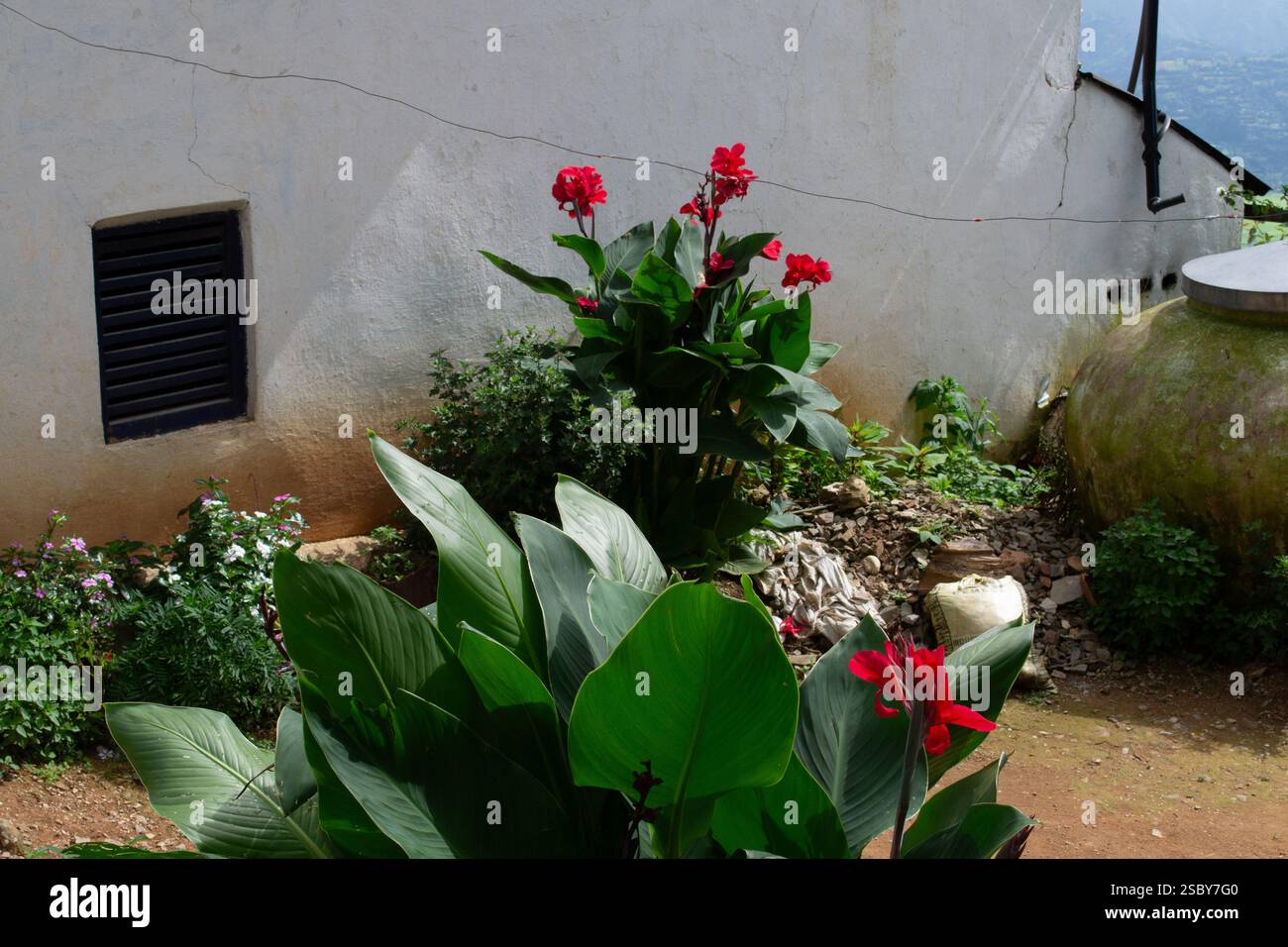 Westliche Region, Nepal. Hinterhof des Landhauses Stockfoto