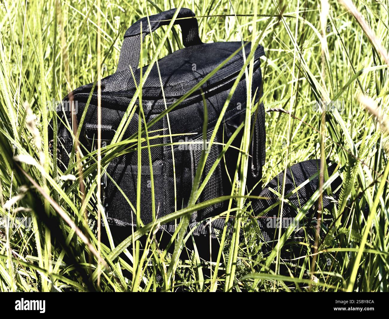 Foto Von Black Bag Im Gras Am Sonnigen Tag Stockfoto