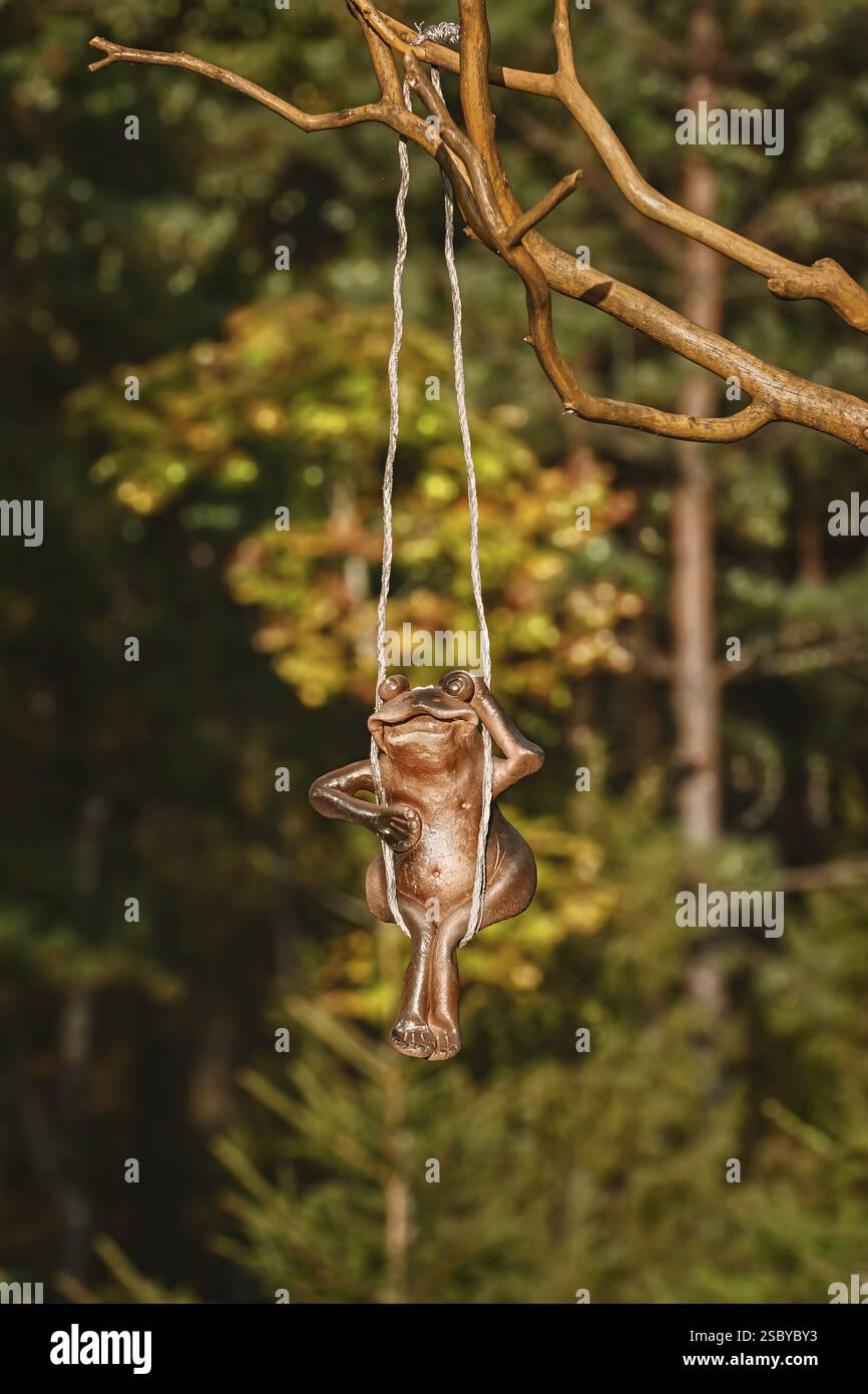 ð¡liegt Frosch, der am trockenen Baum Naujene, Lettland, Europa hängt Stockfoto