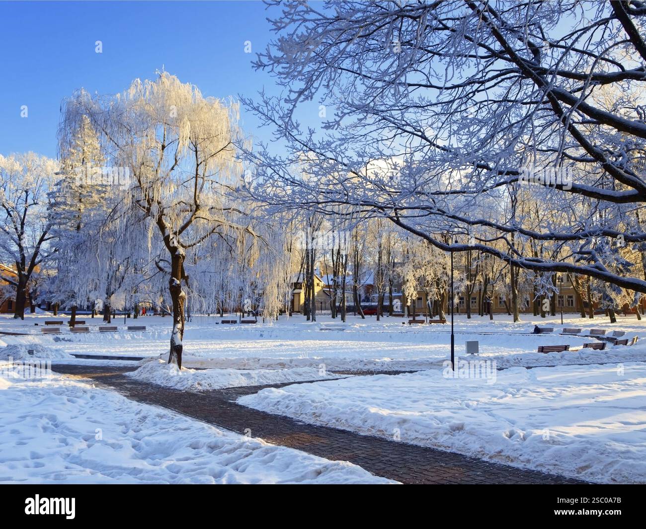 Winter Stadtpark an sonnigen Tagen Stockfoto