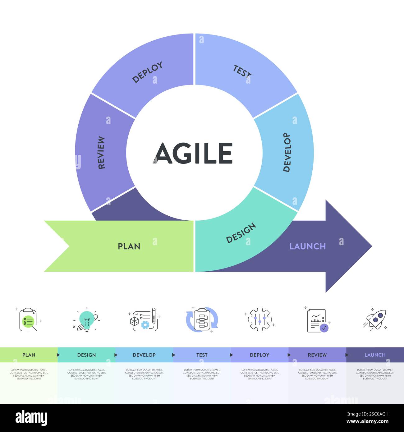 Die Infografik „Agile Lifecycle Methodology“ ist ein Prozess zur Erstellung und Reaktion auf Veränderungen. Lebenszyklus der Produktentwicklung und Agile Methodology. Proz Stock Vektor