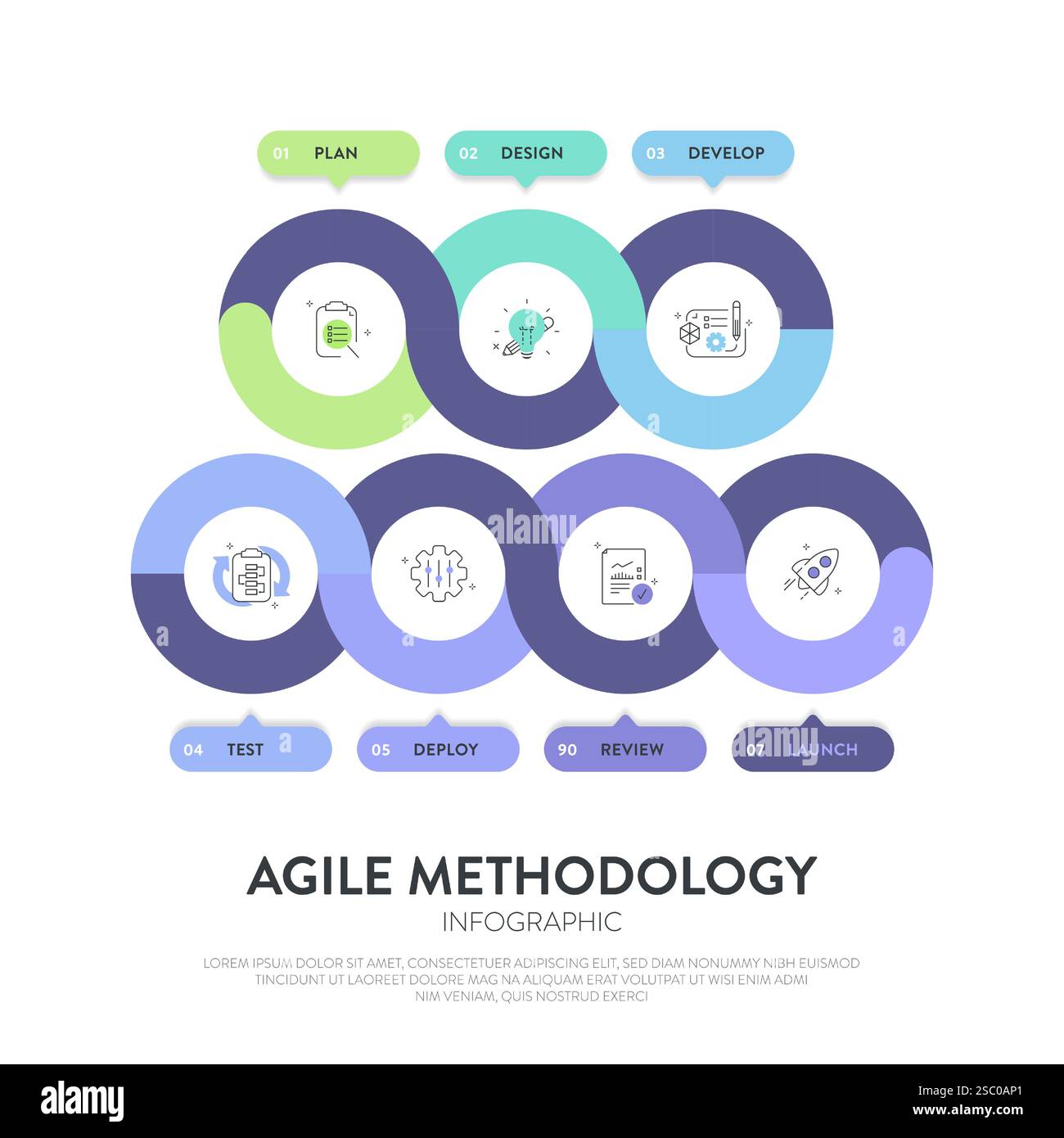 Die Infografik „Agile Lifecycle Methodology“ ist ein Prozess zur Erstellung und Reaktion auf Veränderungen. Lebenszyklus der Produktentwicklung und Agile Methodology. Proz Stock Vektor
