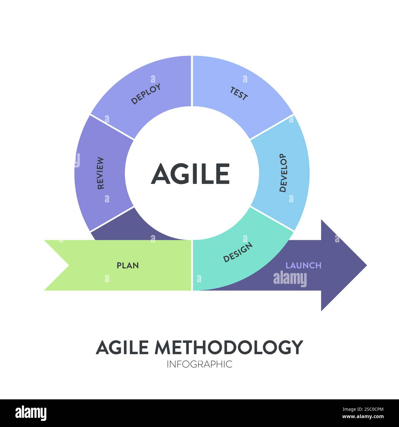 Die Infografik „Agile Lifecycle Methodology“ ist ein Prozess zur Erstellung und Reaktion auf Veränderungen. Lebenszyklus der Produktentwicklung und Agile Methodology. Proz Stock Vektor