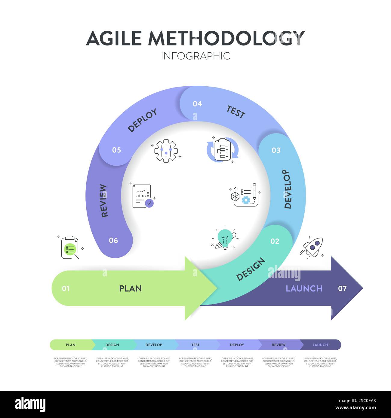 Die Infografik „Agile Lifecycle Methodology“ ist ein Prozess zur Erstellung und Reaktion auf Veränderungen. Lebenszyklus der Produktentwicklung und Agile Methodology. Proz Stock Vektor
