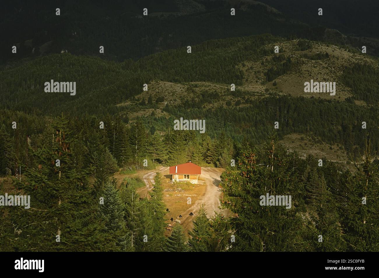 Kleines Haus in den Rhodopen, Bulgarien Jagodina, Devin, Bulgarien, Europa Stockfoto