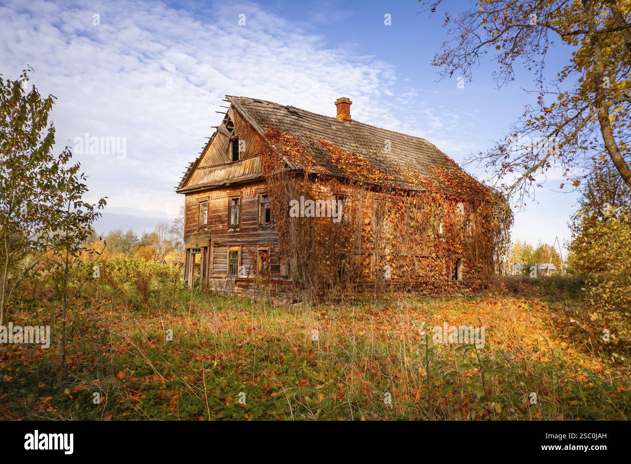 Altes verlassenes, verwundetes Haus, bedeckt mit Efeu Ludza, Lettland, Europa Stockfoto