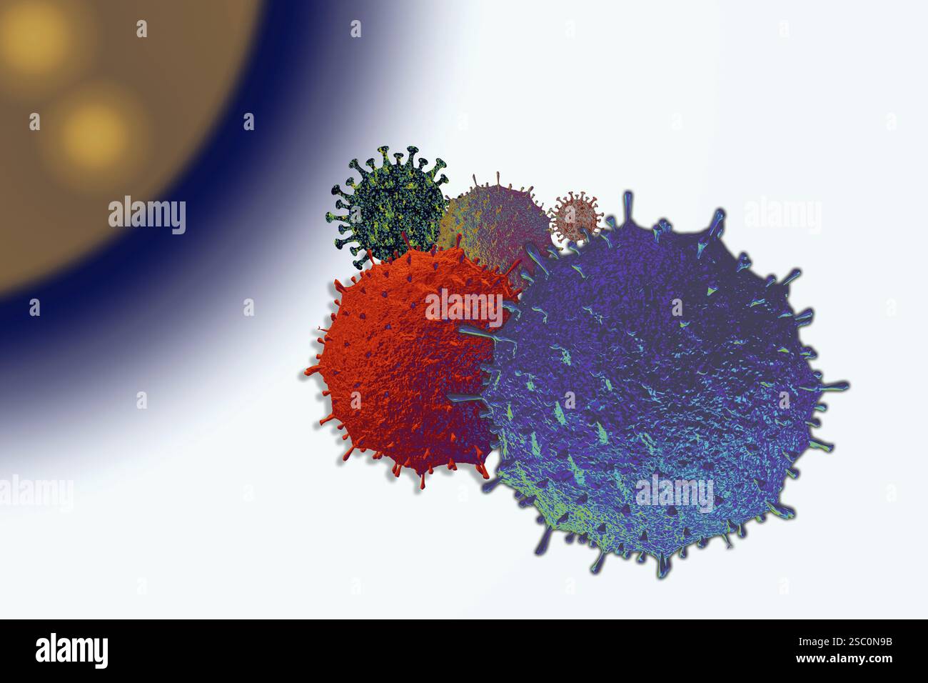 Covid-19-Neuartige Coronavirus-Bakterien. Keine Infektion und Anti-Coronavirus-Konzepte Stockfoto
