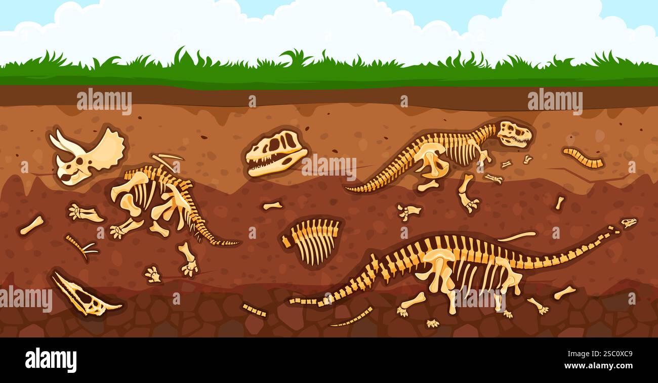 Archäologie Paläontologie Dinosaurierfossil in Bodenschichten Vektorhintergrund. Zeichentrickskelett Knochen und Schädel von tyrannosaurus, triceratops und Diplodoc Stock Vektor