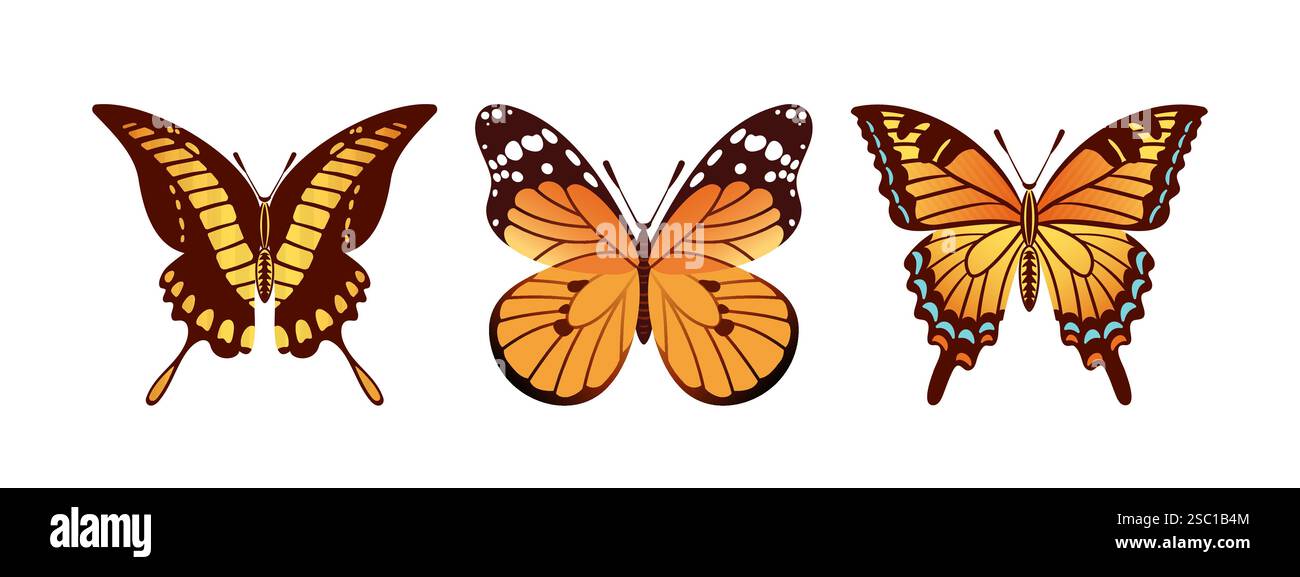 Die Vektor-Illustration zeigt ein atemberaubendes Trio von Schmetterlingen, Schwalbenschwanz, Papilio thoas und Danaus plexippus. Jeder Schmetterling zeigt lebendige Farbe Stock Vektor