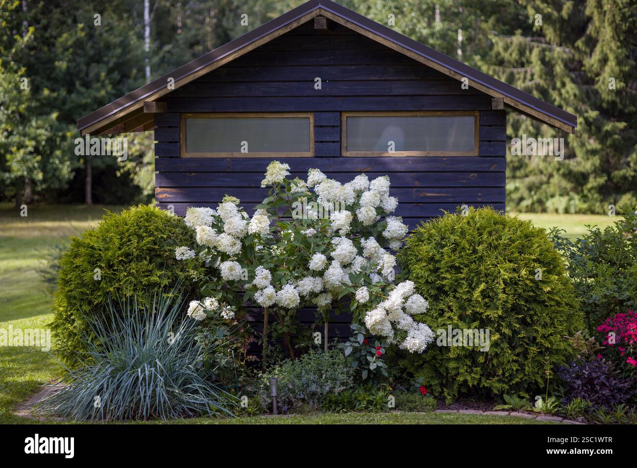 Wunderschöner Garten im Hinterhof mit einer Vielzahl von blühenden Pflanzen und Sträuchern. Gepflegte Landschaftsgestaltung schafft einen farbenfrohen und einladenden Raum. Perfekt für Stockfoto