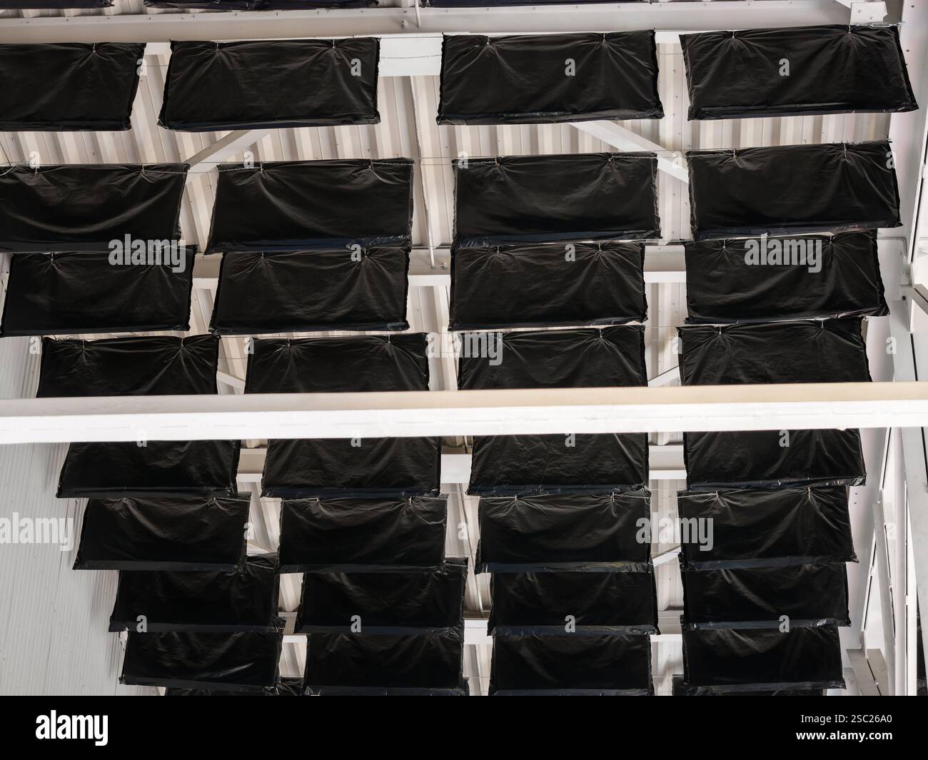 Schallabsorptions- und Schalldämmpakete, die an den Metallträgern der hohen Hallendecke angebracht sind, um die Schallparameter zu verbessern. Stockfoto