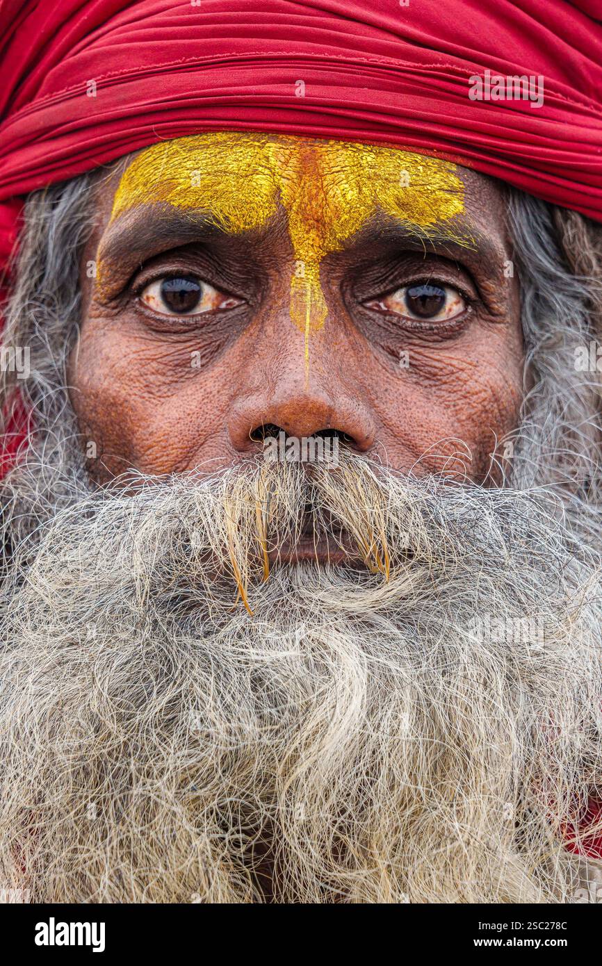 Nahaufnahme eines wilden Sadhu mit intensivem Blick, rotem Pagdi, wütenden Augen und langem Bart, der Kraft und Mystik ausstrahlt. Stockfoto