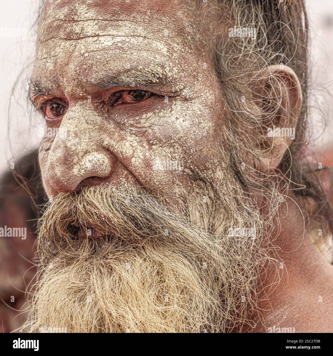 Eine Nahaufnahme eines bärtigen Naga-Sadhus-Gesichts, sein intensiver Blick voller Wut, spiegelt die rohe Kraft und den unnachgiebigen Geist seines asketischen Lebens wider. Stockfoto