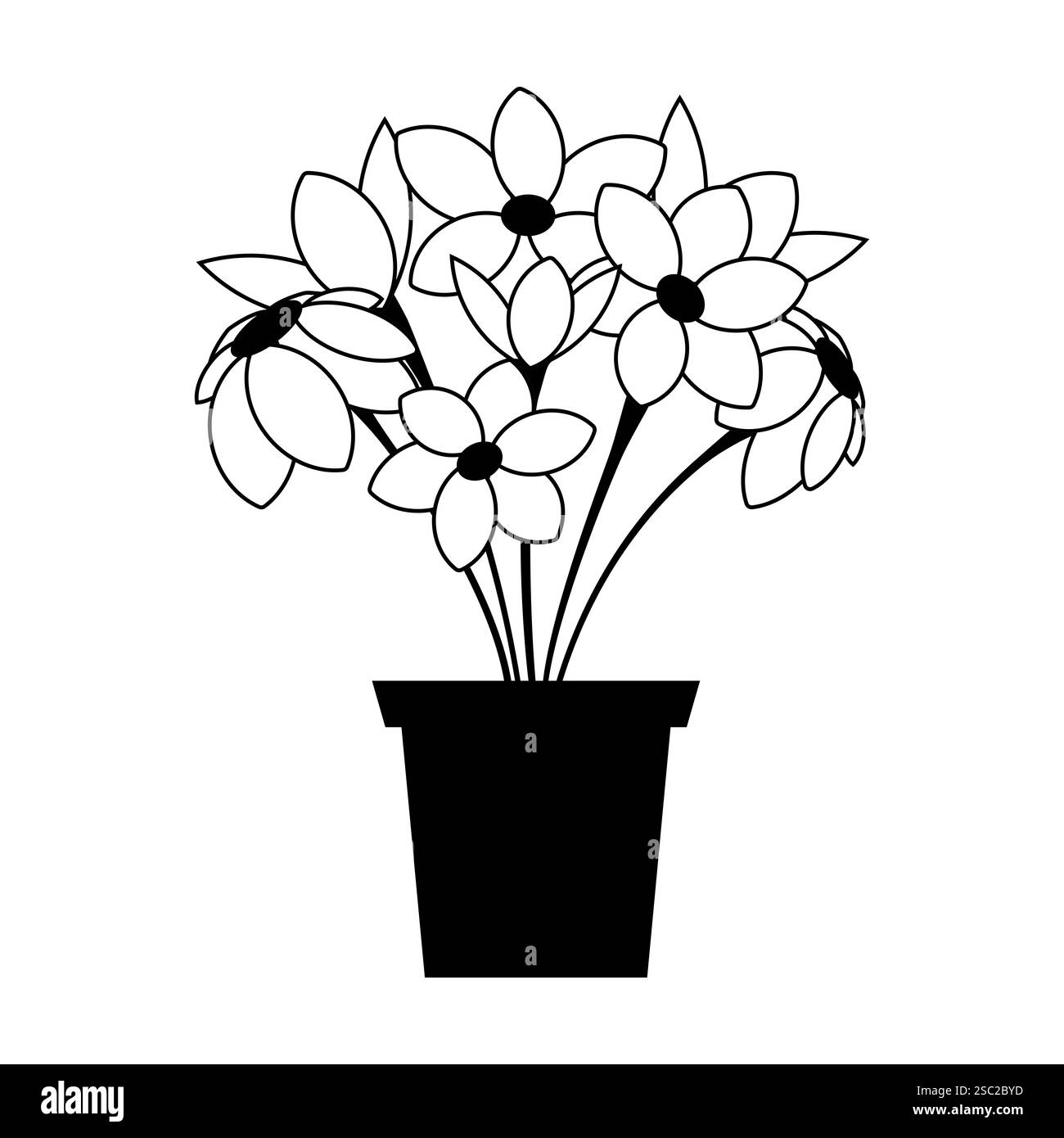 Hausblume mit Buntstift gezeichnet. Schwarz- und Weißtöne. Strichgrafik. Stockfoto Hausblume mit Buntstift gezeichnet. Schwarz- und Weißtöne. Strichgrafik. Stockfoto