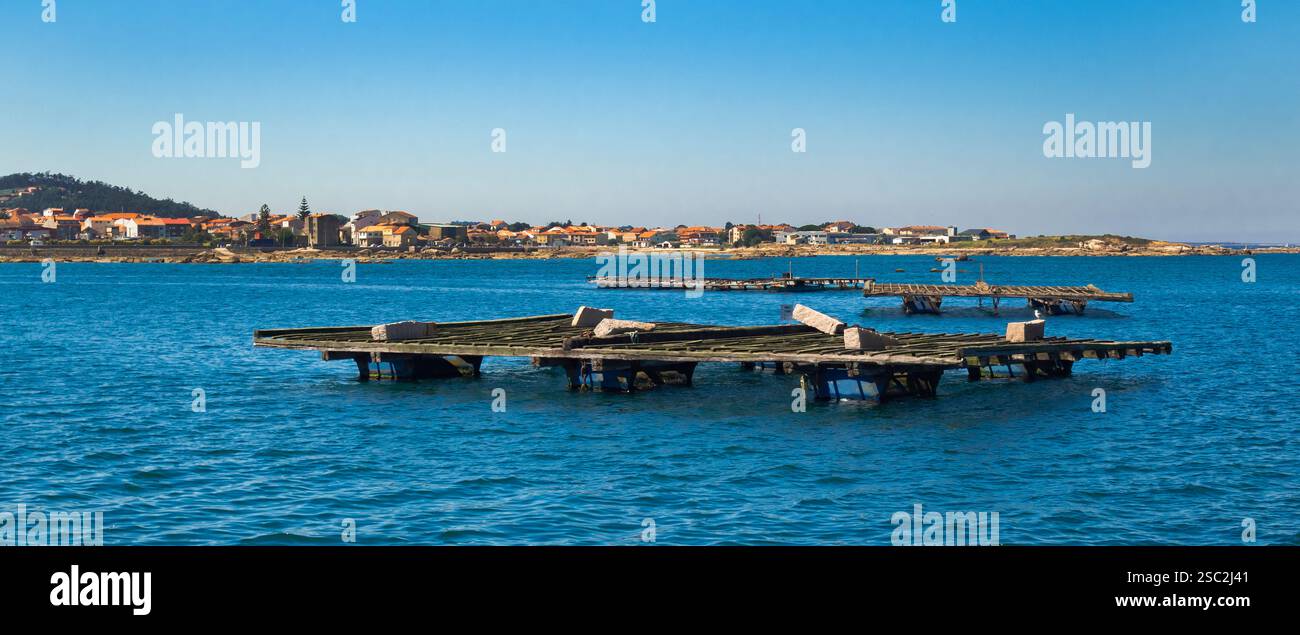 Muschel Aquaculture Rafts Batea, Muschel Growing Sea Platform, Batea Mussel Farms, Ría de Arousa, Arousa Estuary, Pontevedra, Galicien, Spanien, Europa Stockfoto