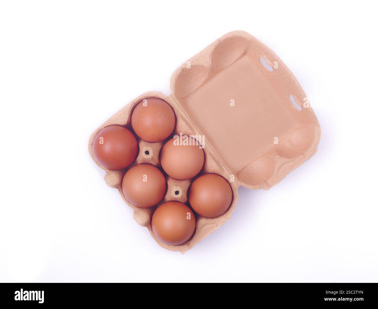 Hochwinkelansicht brauner Eier in Karton isoliert auf weiß. Lebensmittel- und Gesundheitskonzept. Stockfoto