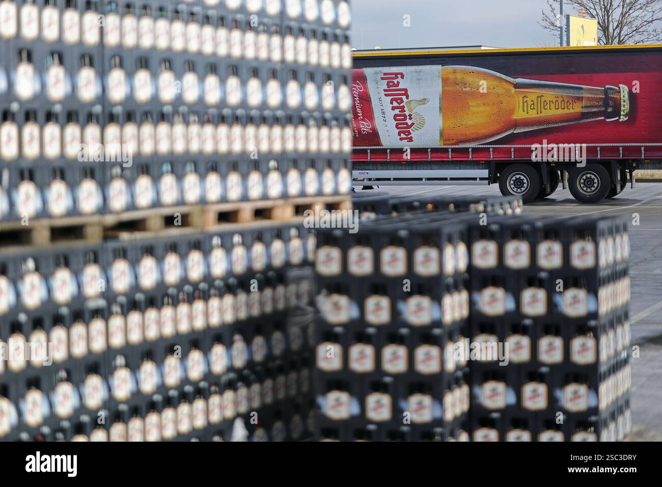 Wernigerode, Deutschland. Februar 2025. Auf dem Gelände der Hasseröder Brauerei GmbH werden Bierkisten gestapelt. Die EDF Renewables Deutschland GmbH betreibt seit 2024 in Zusammenarbeit mit ihrem Partner Hasseröder Brauerei GmbH einen Batteriespeicher. Quelle: Matthias Bein/dpa/Alamy Live News Stockfoto