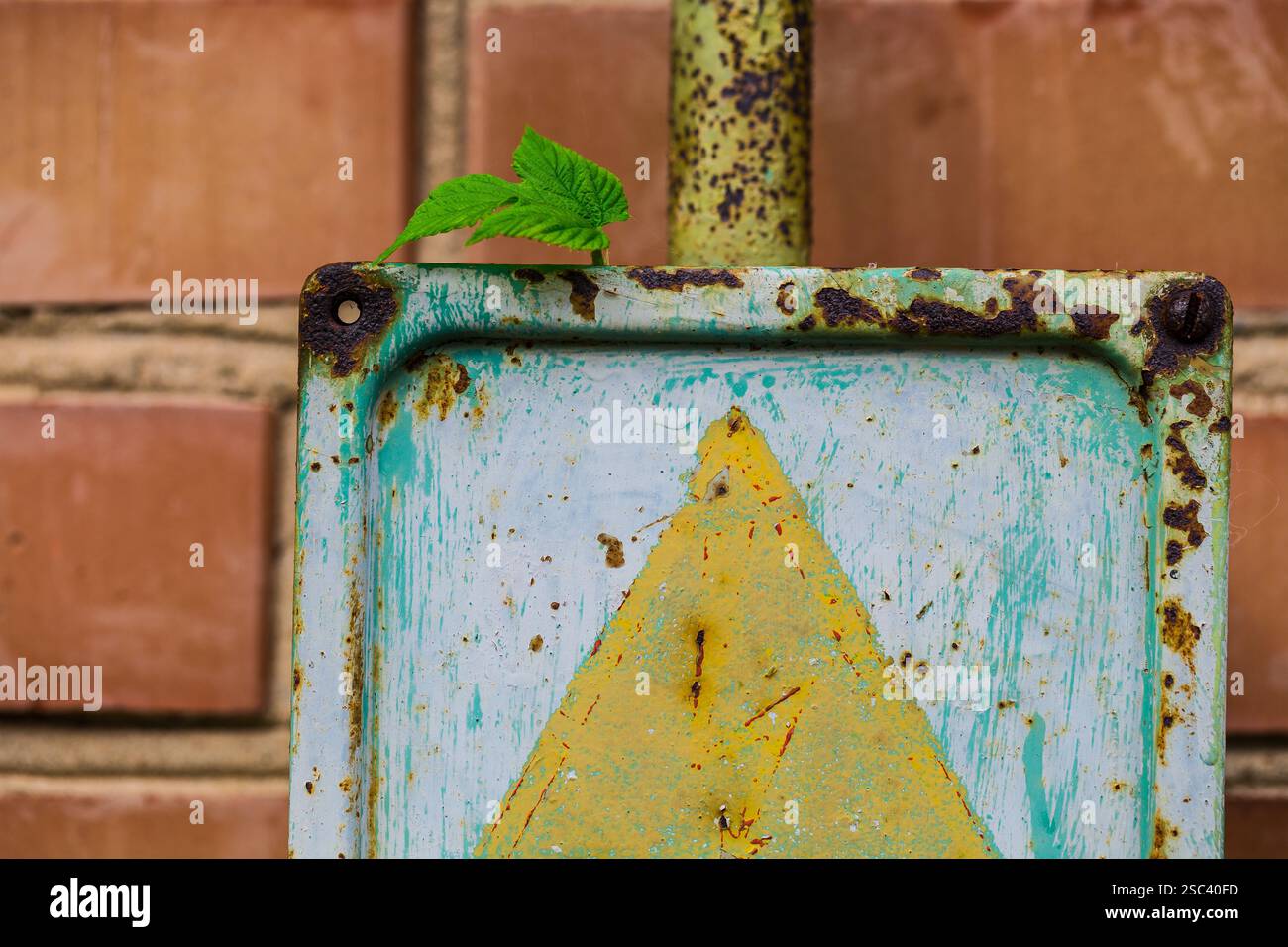 Alte elektrische Tafel an der alten Wand Stockfoto