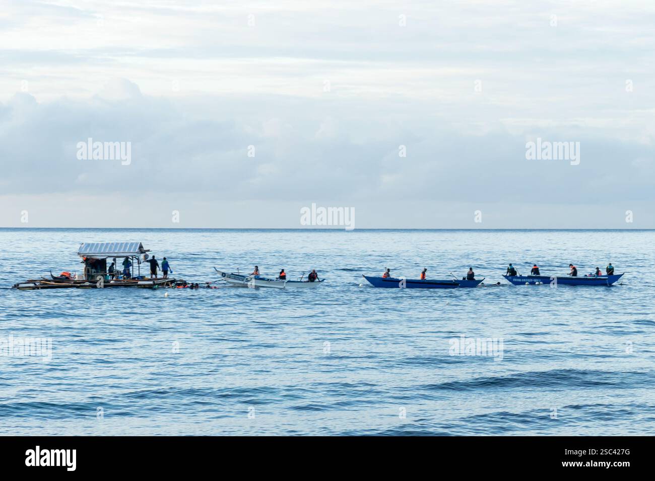 Menschen, die am Morgen an Walhai-Beobachtungstouren in Lila, Bohol, Philippinen teilnehmen. Stockfoto