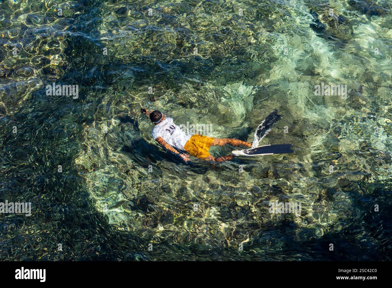 Ein Mann schwimmt mit der Sardinenschule am Napaling Reef auf der Insel Panglao, Bohol, Philippinen. Stockfoto