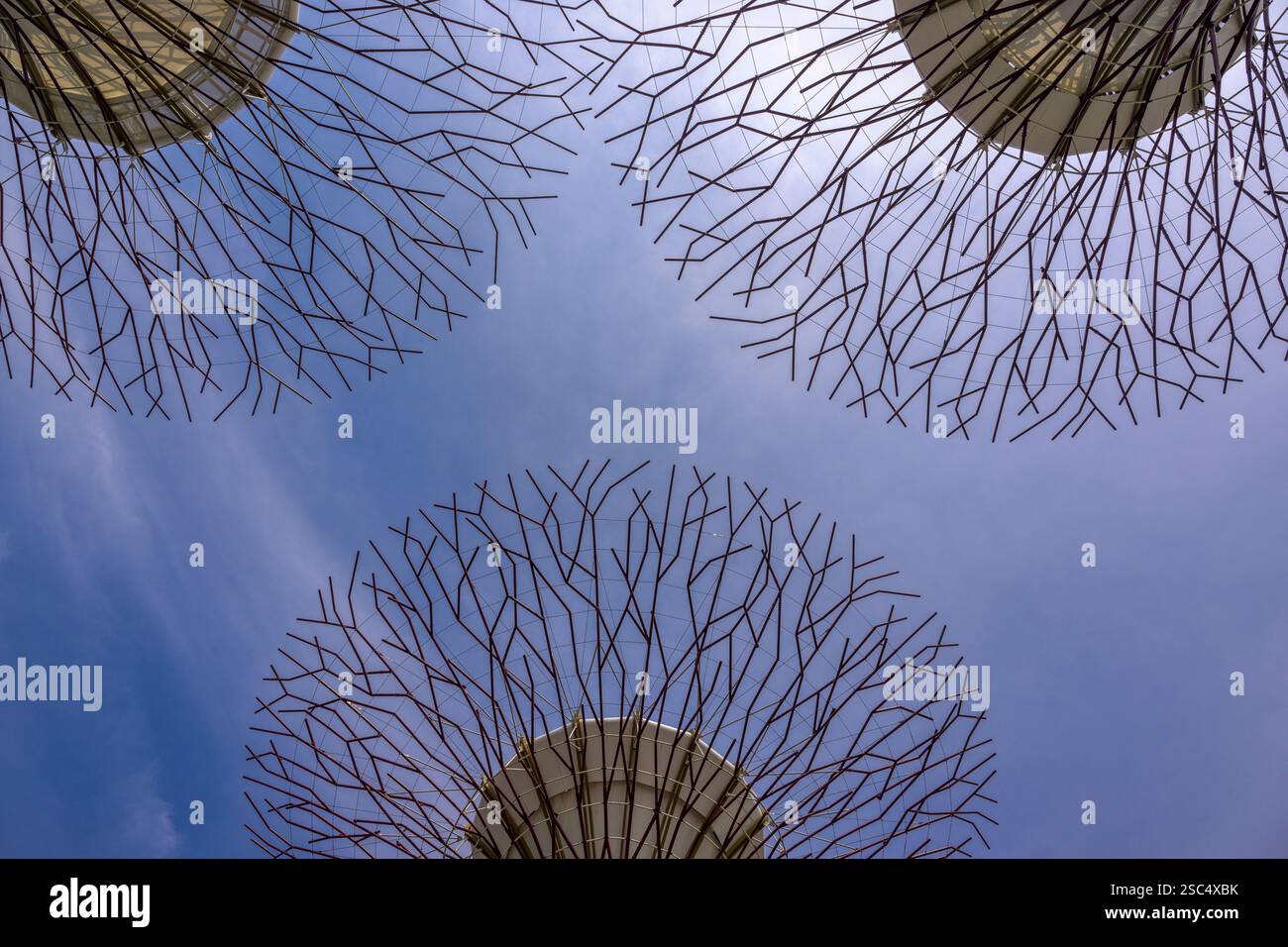 Die dünnen roten Wedel von Singapurs Supertrees zeichnen ihre Muster am Himmel nach. Stockfoto